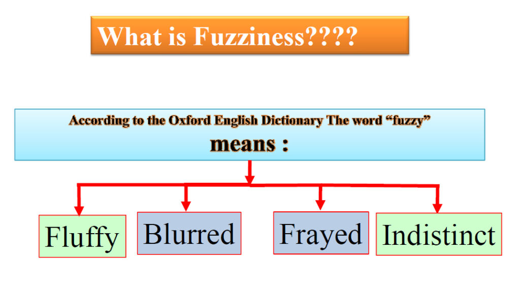 What is Fuzziness